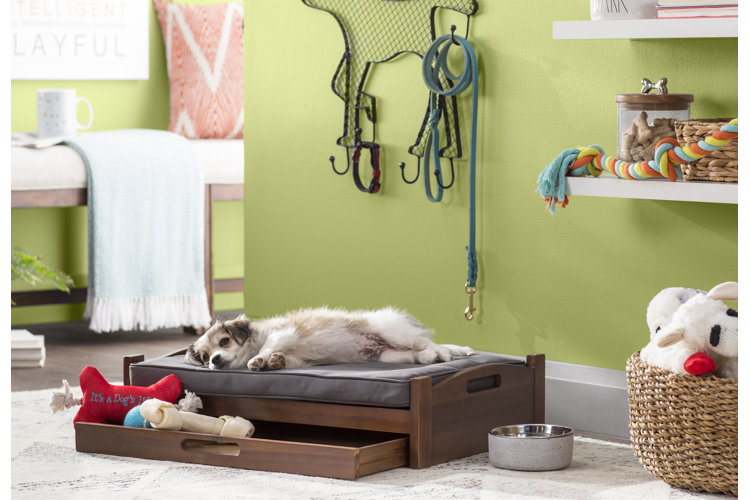 Dog Bed Sizes Choosing the Right Bed Size for Your Dog Wayfair